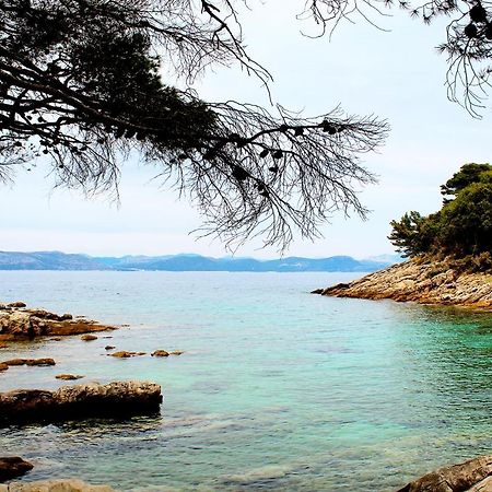Apartment Marija Mljet 7 Sobra ภายนอก รูปภาพ