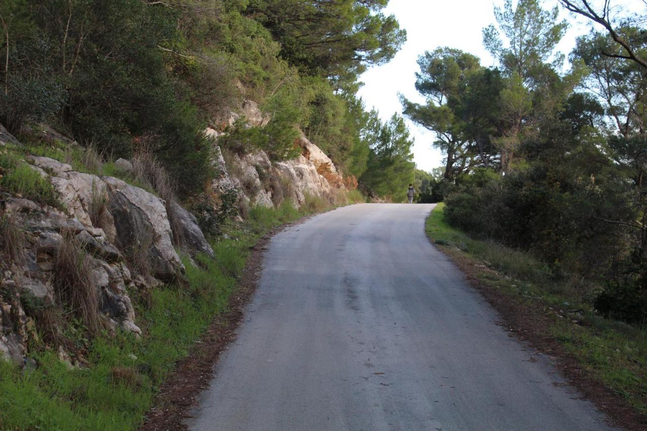 Apartment Marija Mljet 7 Sobra ภายนอก รูปภาพ